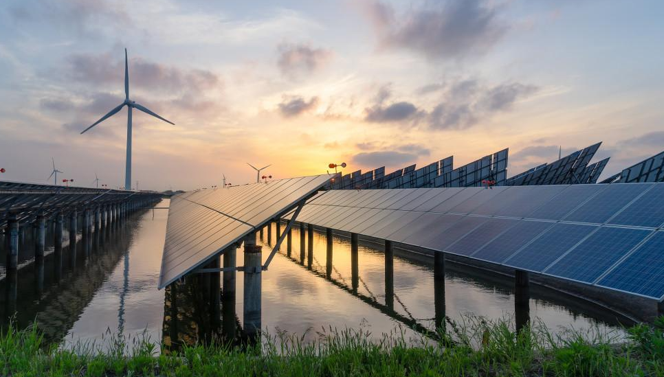 “碳中和”目標(biāo)驅(qū)動,企業(yè)如何理性發(fā)力綠色轉(zhuǎn)型