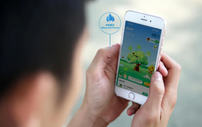 個(gè)人如何參與碳交易?