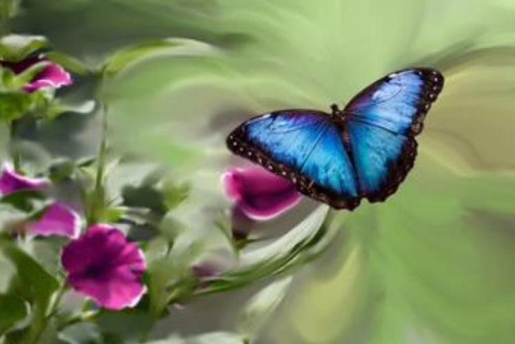 電力行業碳交易引發蝴蝶效應: 多行業備戰低碳經濟