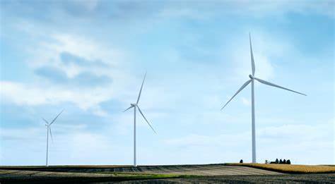 CCER交易市場審批重啟升溫 上市公司紛紛加入碳匯大軍