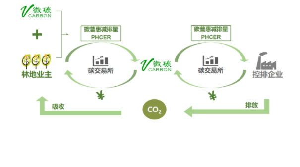 碳市場“首考”背后的機遇與挑戰
