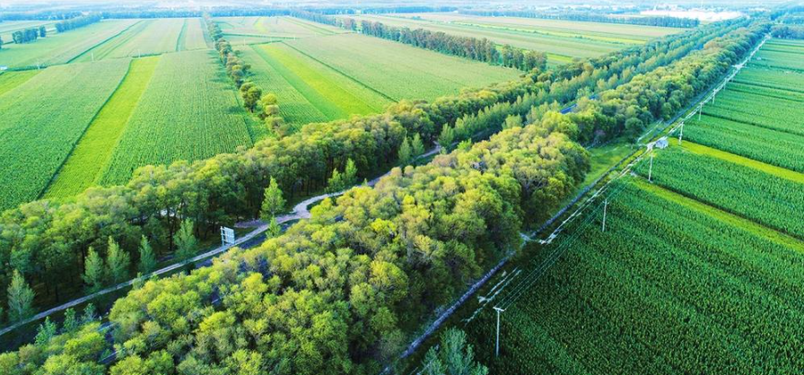 2022年中國(guó)國(guó)土綠化狀況公報(bào)(全文)| 開(kāi)展林業(yè)碳匯試點(diǎn)市(縣)和國(guó)有林場(chǎng)森林碳匯試點(diǎn)建設(shè)