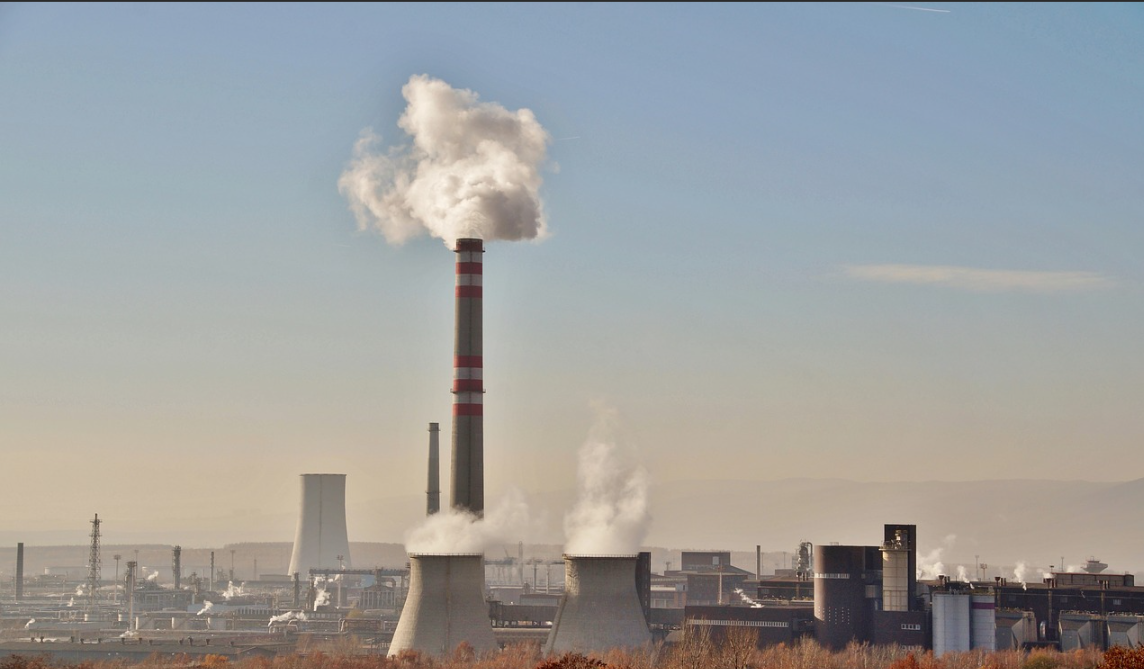 CCER將重啟,森林碳匯如何借機做大做強?