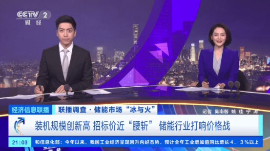 招標(biāo)價近“腰斬”!儲能市場“冰與火”,專家企業(yè)代表解讀!