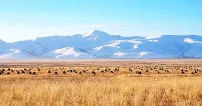 森林碳匯能賣錢嗎?交易前景如何——聽(tīng)專家講講林草碳匯交易那些事